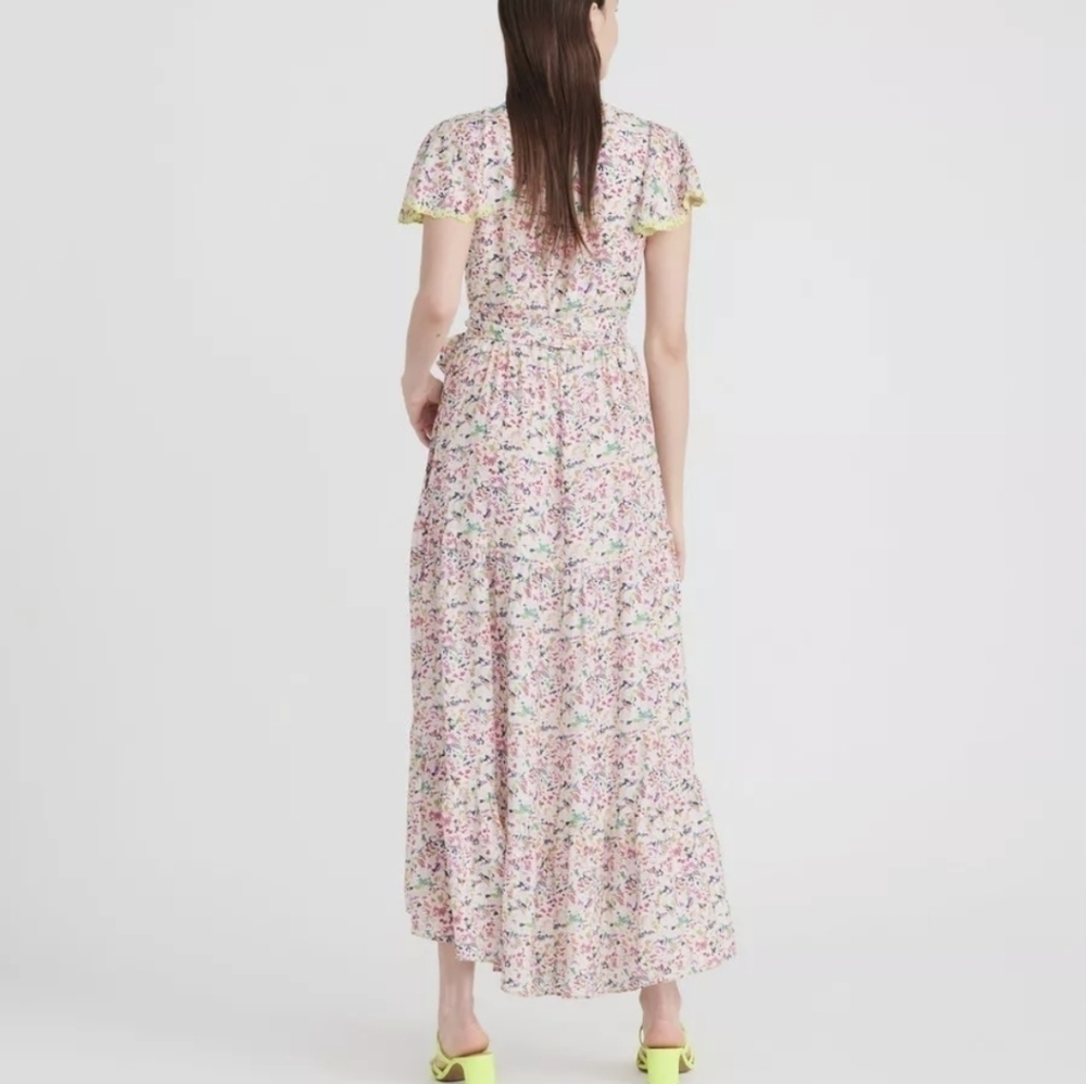 𝅺TANYA Taylor Liza Confetti Print Maxi Dress - Picture 7 of 11
